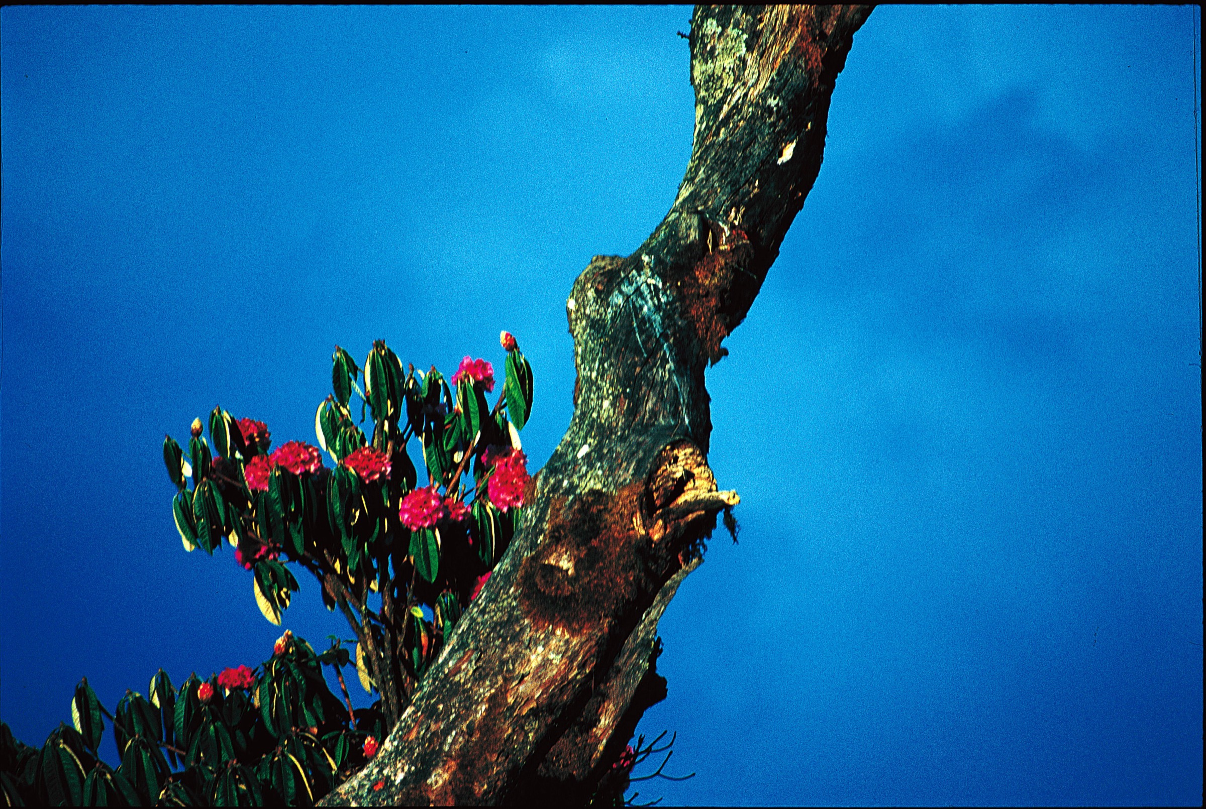 Annapurna range in Nepal